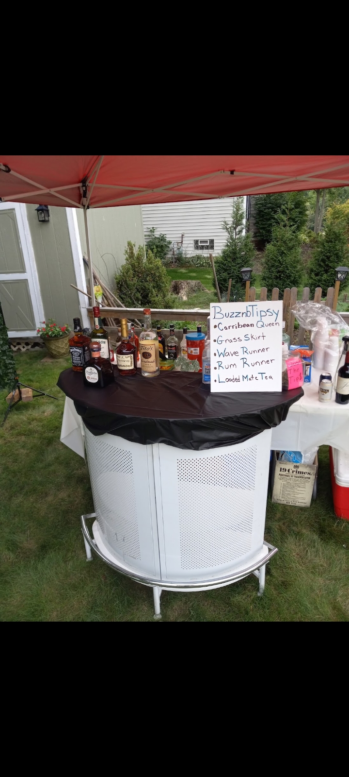 Buzznbtipsy Portable Bartending Service - photo 2