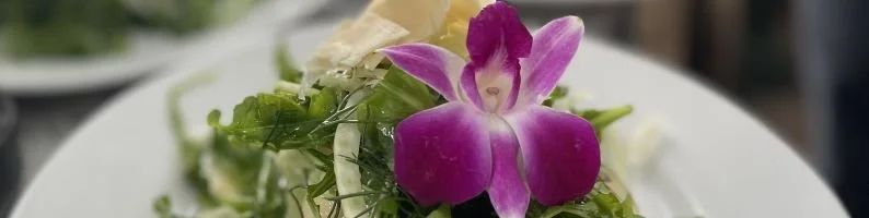 Chef Dave Madison - Catering in Fitchburg, Wisconsin