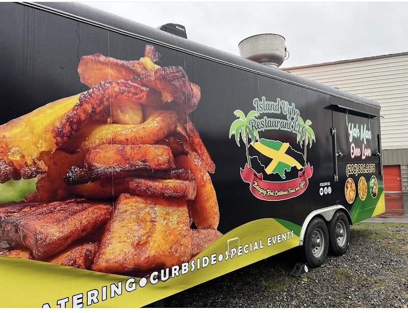 Island vybz food truck LLC - photo 5