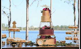 Plus Catering Orlando - photo 5