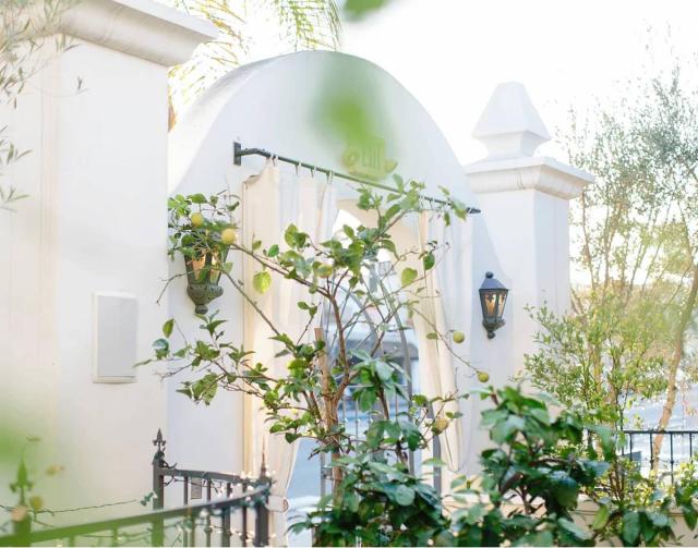 Villa & Vine - photo 4