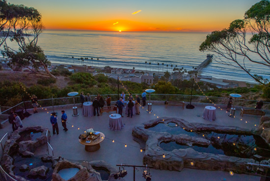UC San Diego Catering - Catering in La Jolla, California