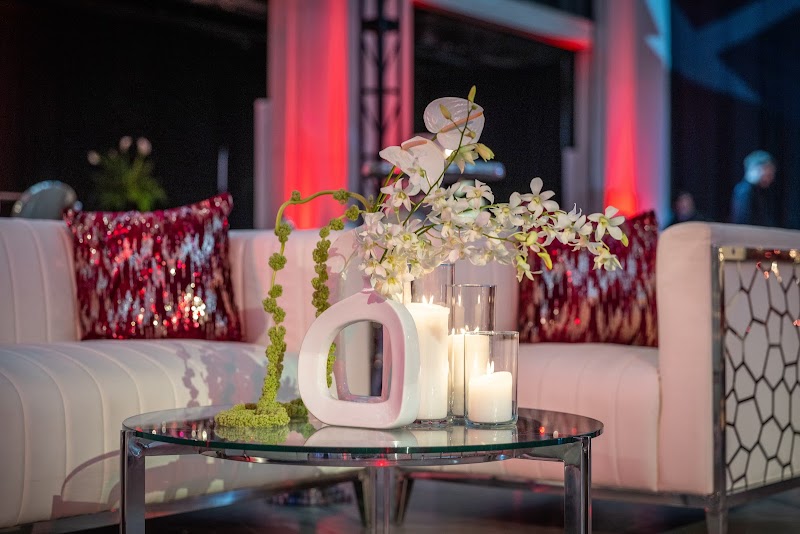DLT Events - photo 5