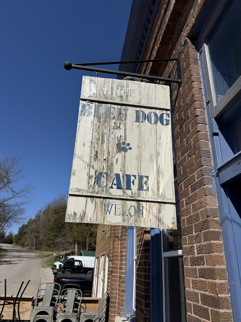 The Bleu Dog Cafe - photo 3