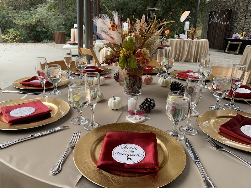 Set The Bar - photo 3