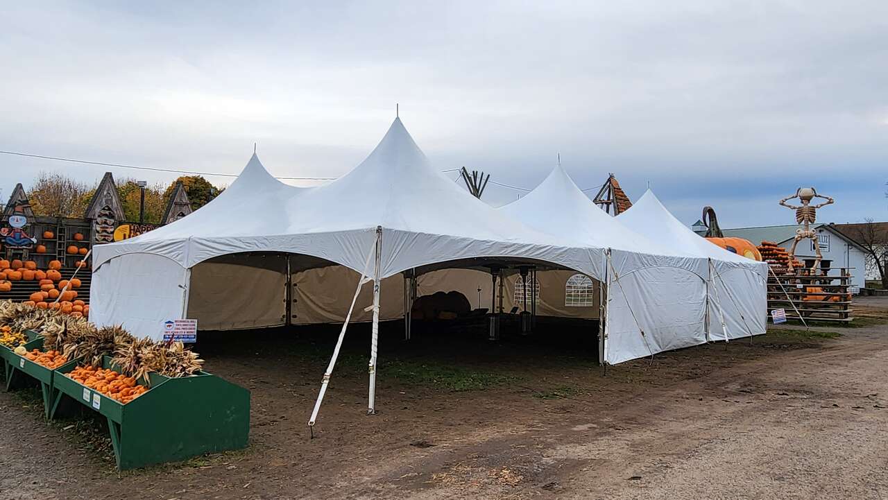 Buffalo Freddy Party Rentals - photo 5