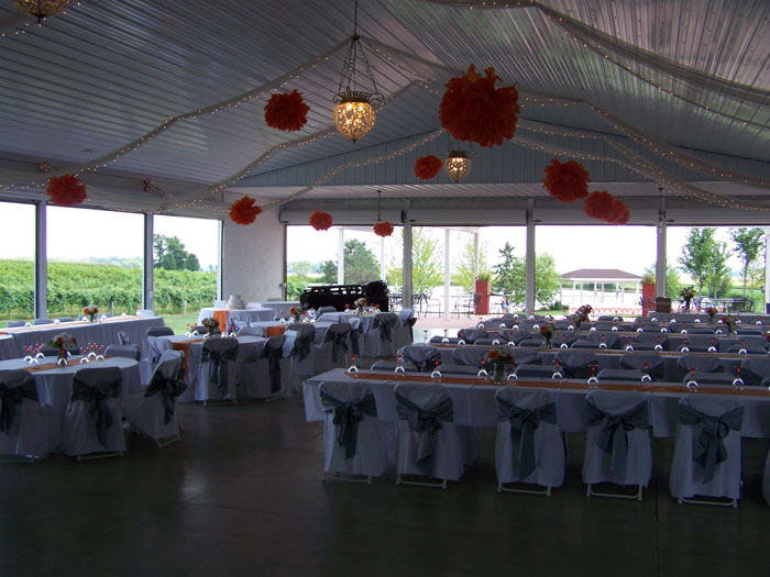 Mackinaw Valley Vineyard - photo 4