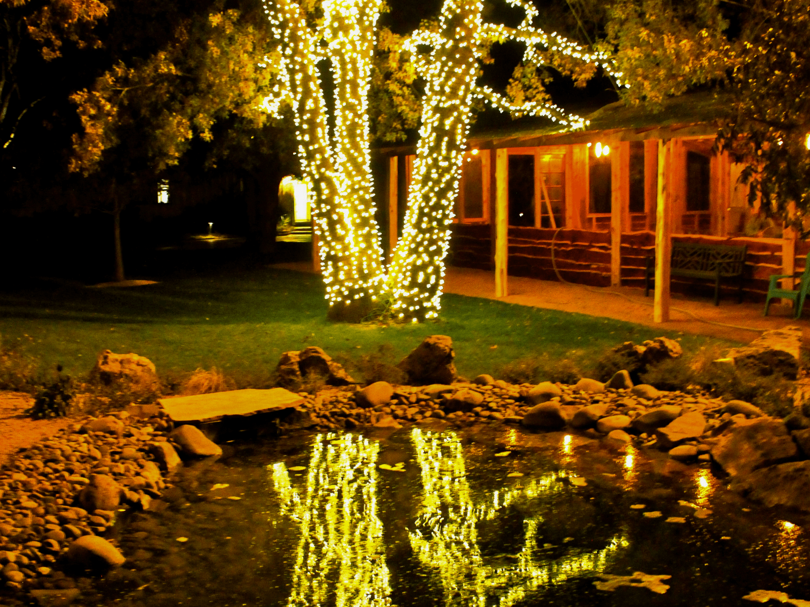 The Resplendent Garden - photo 5