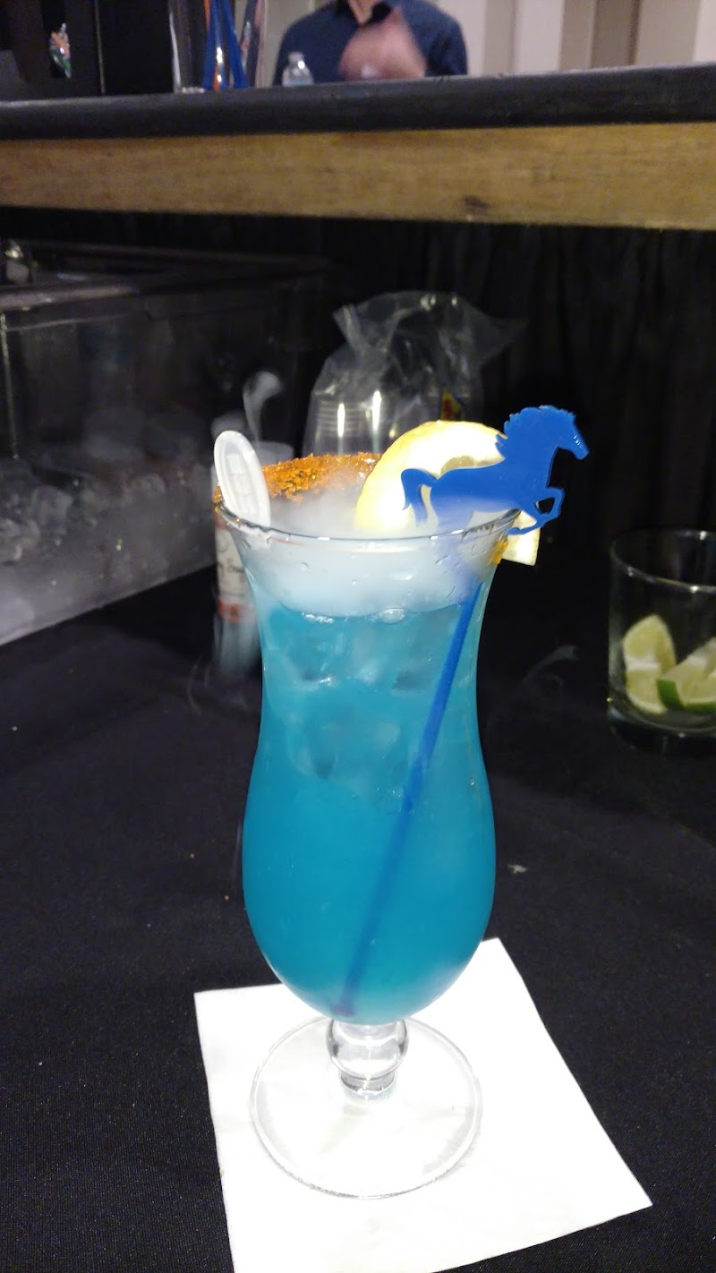 STL Bartenders To Go - photo 3