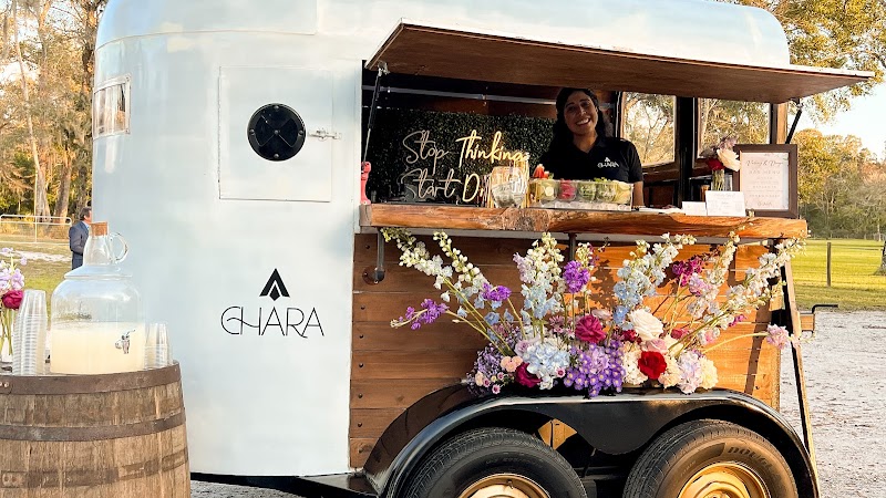 Chara Mobile Bar - photo 3