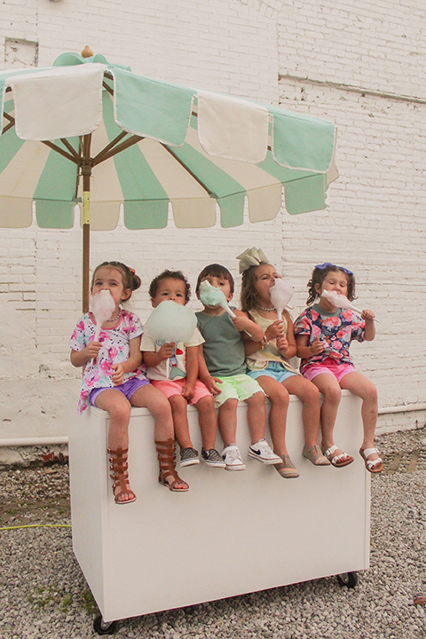 Whim Cotton Candy - photo 2