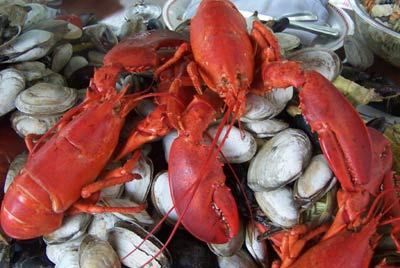 Corporate Clambake - photo 2