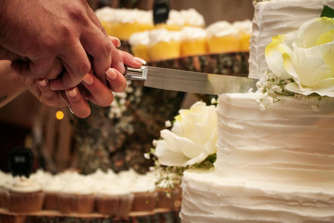 Tree City Catering - photo 3