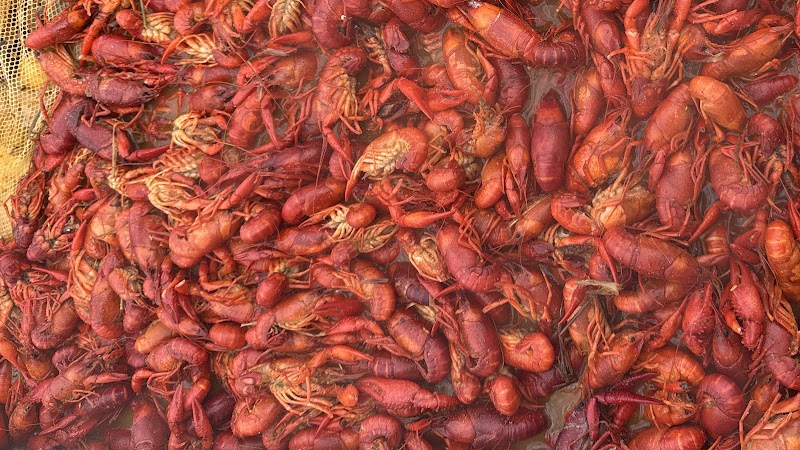 Big Daddy Jay's Creole Kitchen - Catering in Buda, Texas