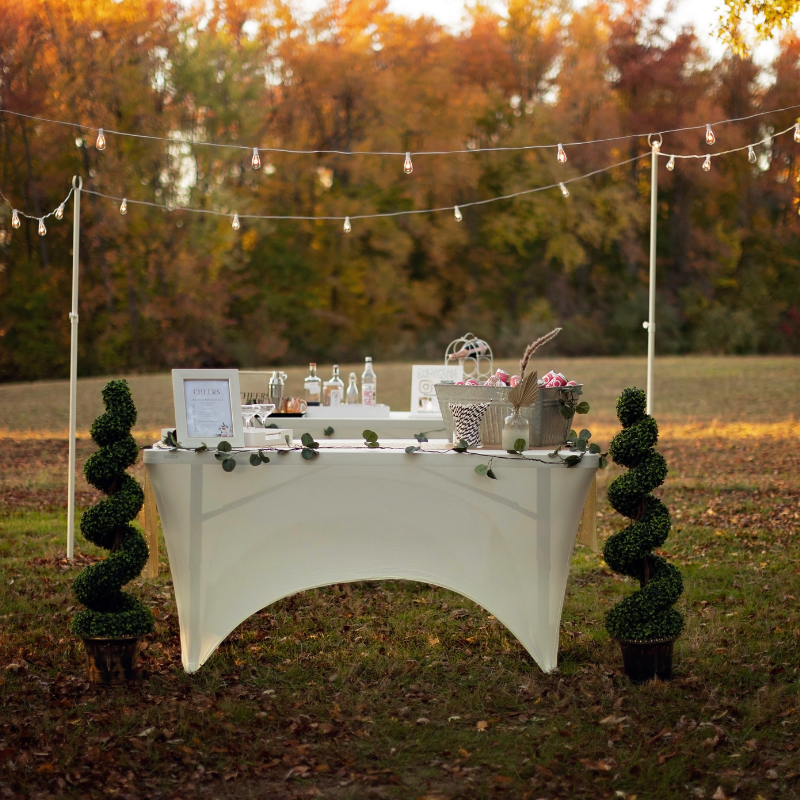 Chesapeake Bartenders and Events - photo 4