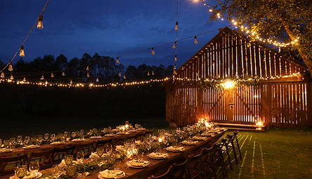 Cocktails Catering - Catering in Orlando, Florida