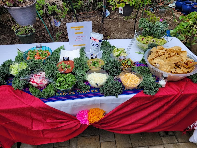 Tacoandcatering.com - photo 4