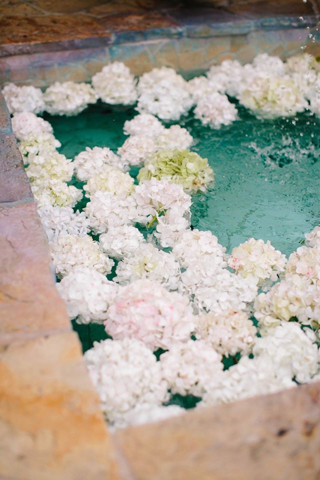 Giulia Events - photo 5