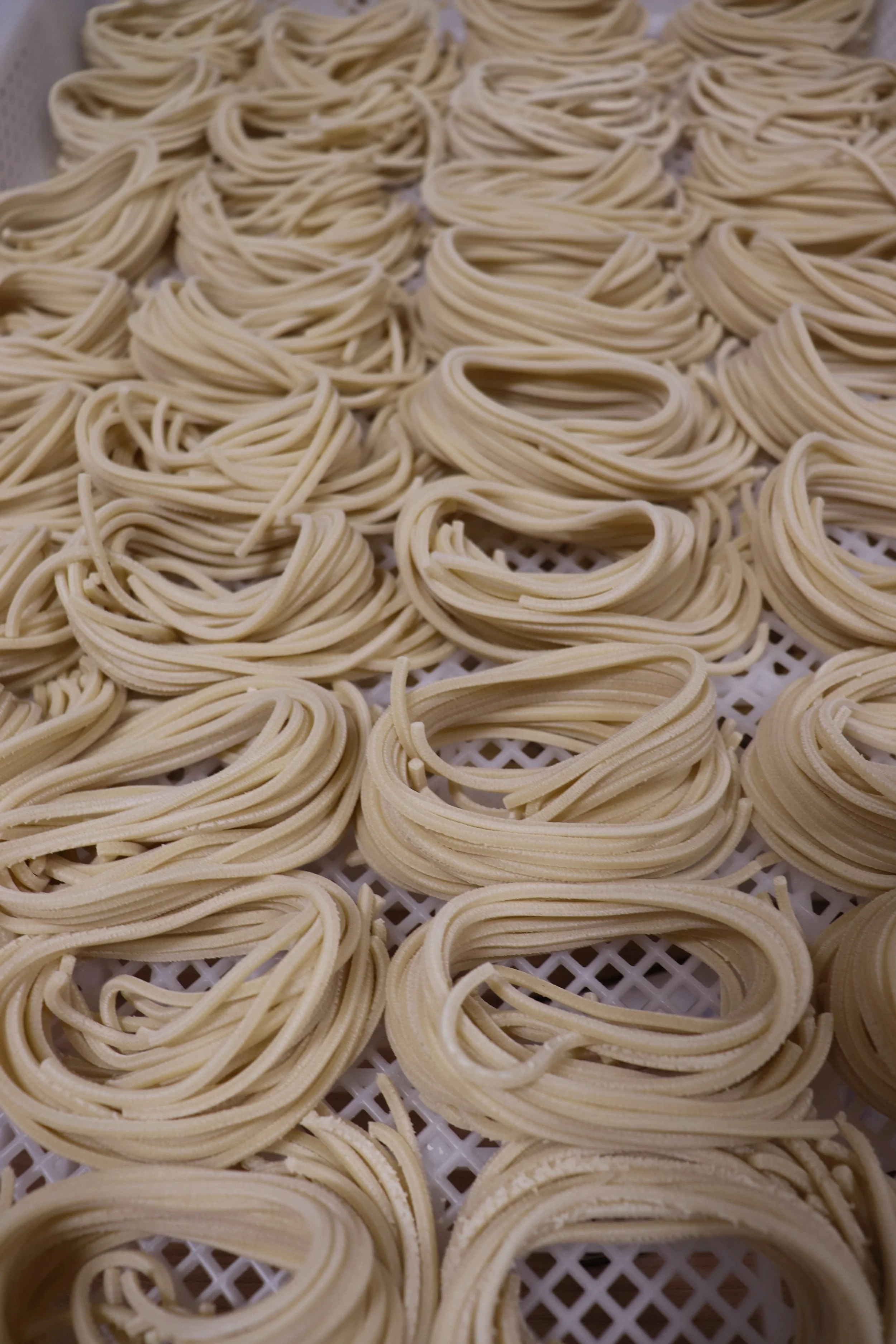 Pasta Masters Cucina - photo 3