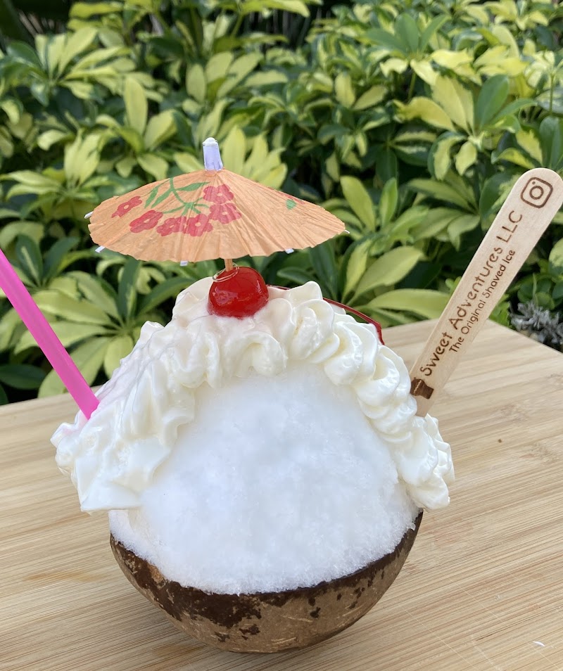 Sweet Adventures The Original Shaved Ice - photo 5