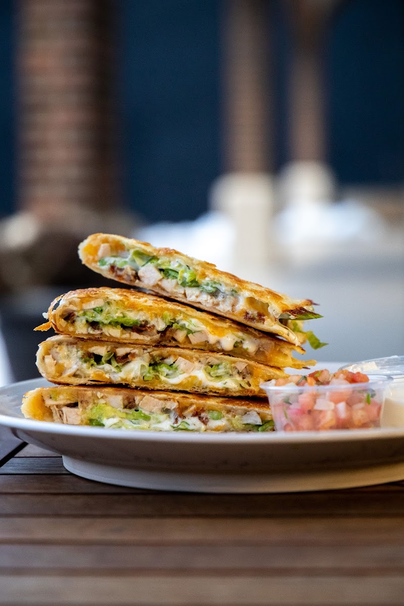 Los Gatos Tacos Mexican Restaurant + Catering - photo 4