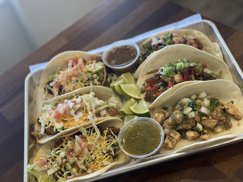 Los Gatos Tacos Mexican Restaurant + Catering - photo 3
