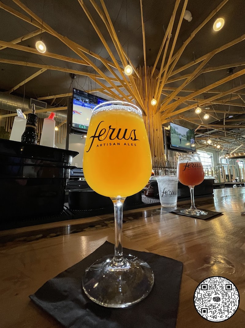Ferus Artisan Ales - photo 2