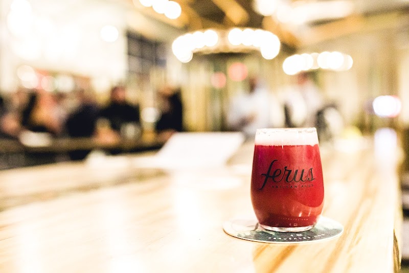 Ferus Artisan Ales - photo 5