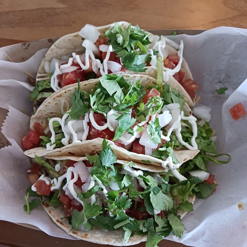 Cilantro Tacos (Alachua) - photo 5