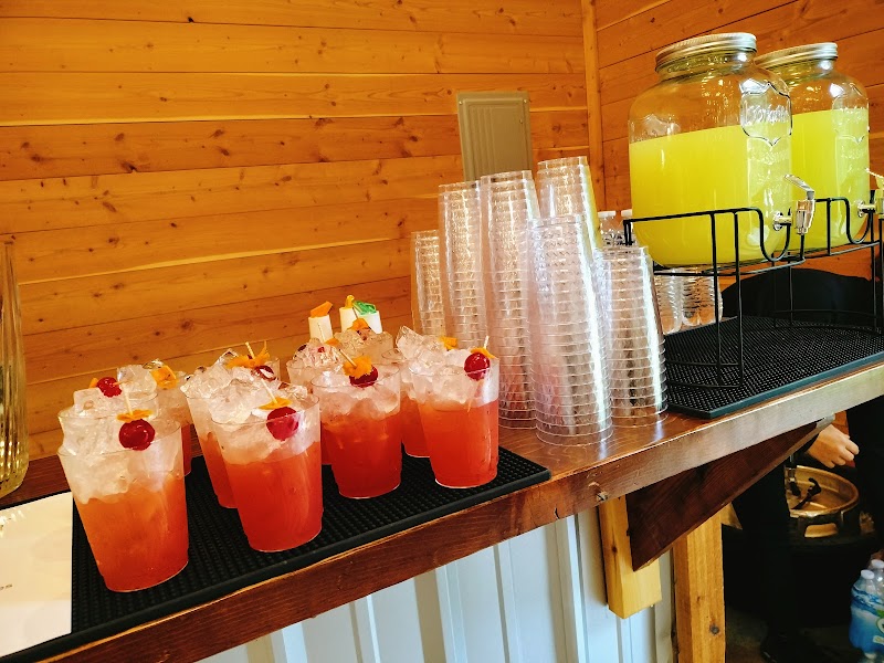 Glass Slipper Events Cocktails and Cuisine - photo 4