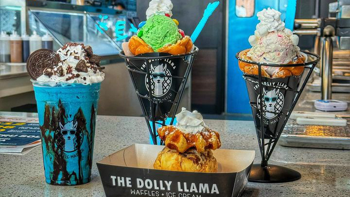 The Dolly Llama Myrtle Beach - photo 2
