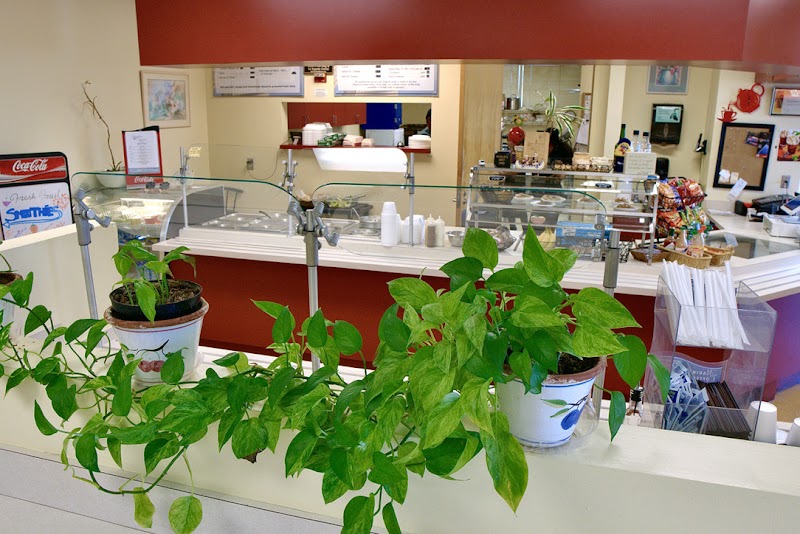 Harborview Cafe - photo 4