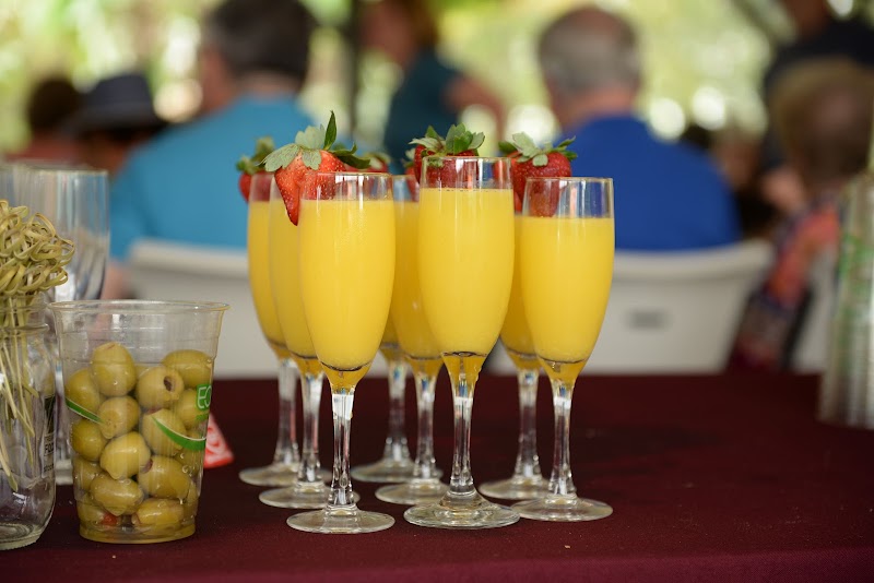 Healthy Harvest Catering - photo 3