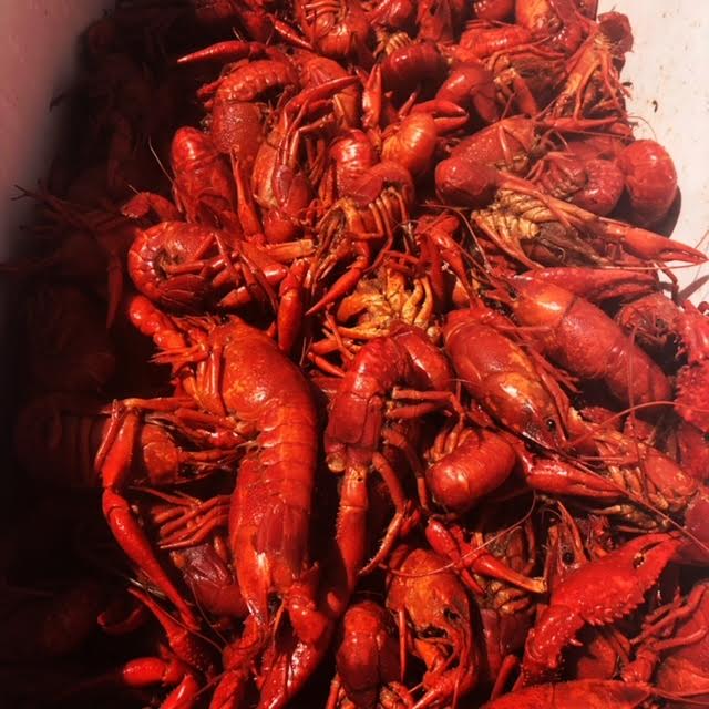 Heads or Tails Cajun Crawfish - photo 2