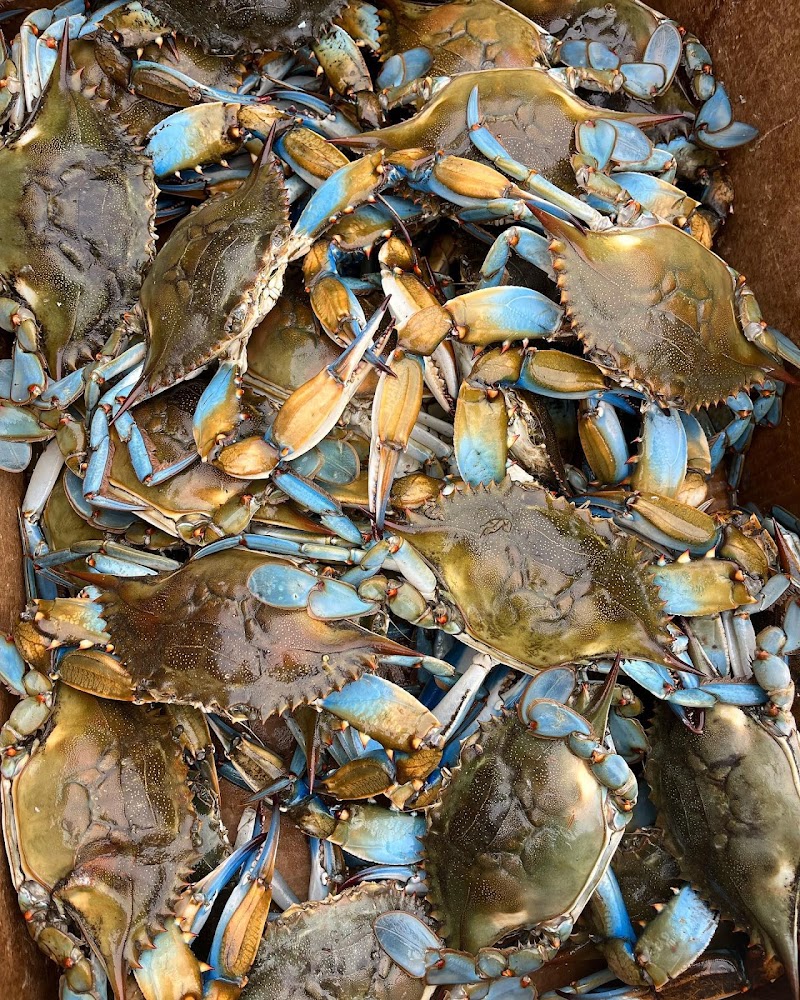 Heads or Tails Cajun Crawfish - photo 4