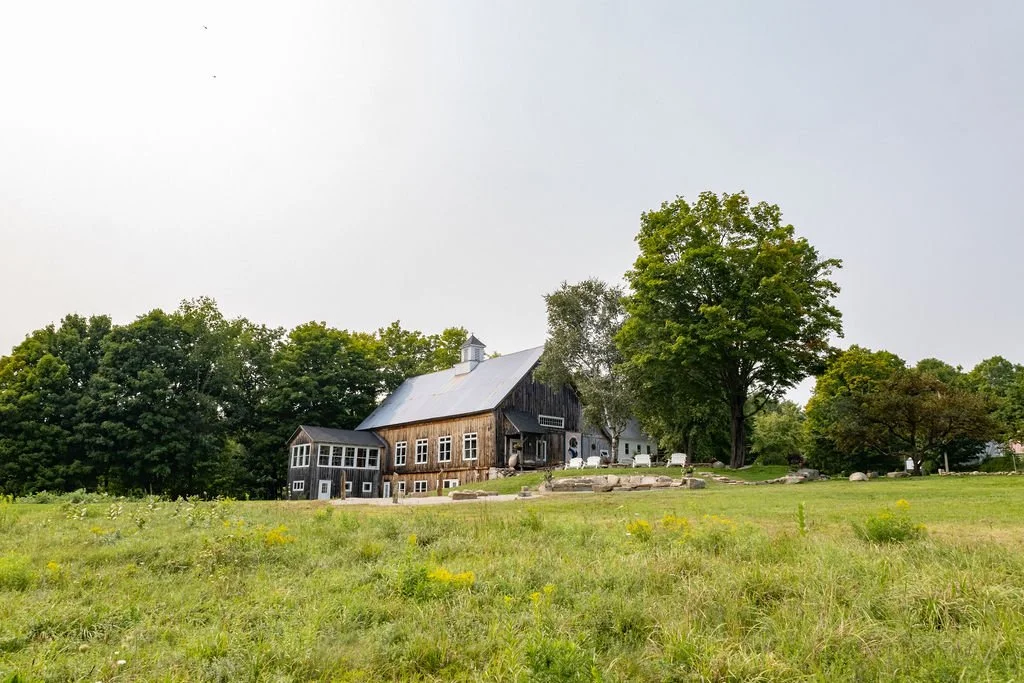 The Greatful Dane Lodge - photo 4