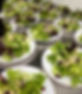 Tano Bistro & Catering - photo 2