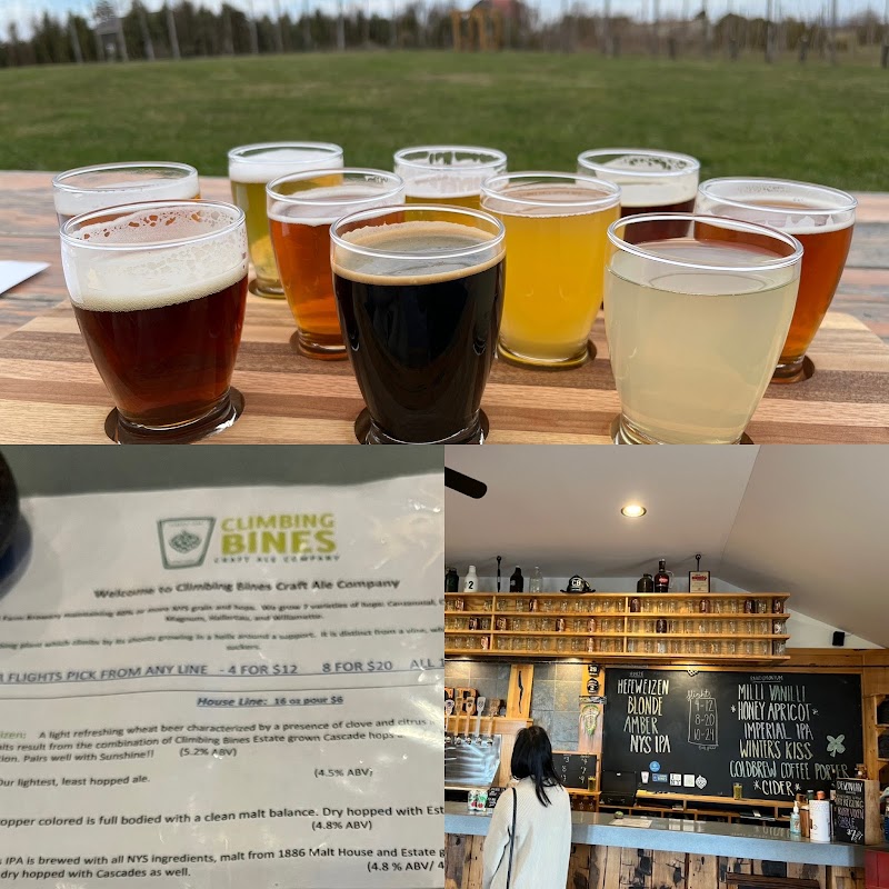 Climbing Bines Hop Farm & Brewery - photo 2