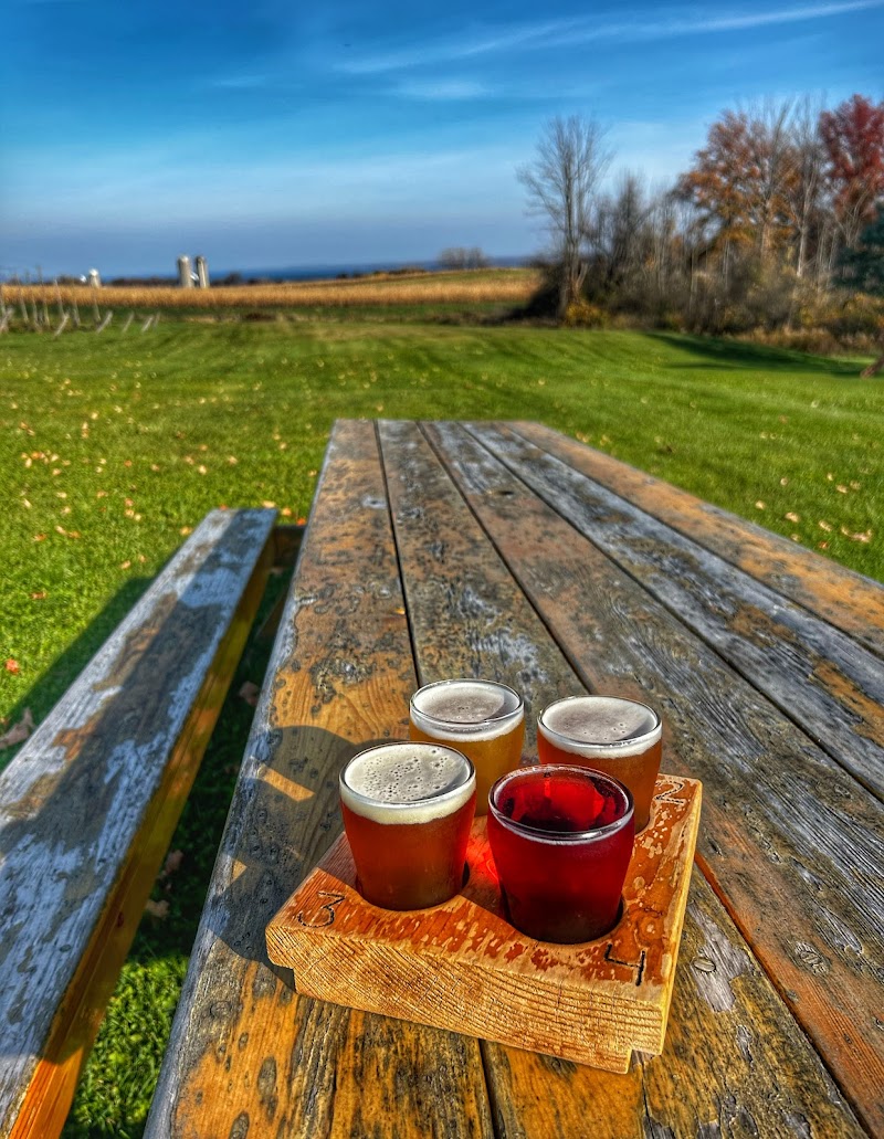 Climbing Bines Hop Farm & Brewery - photo 3