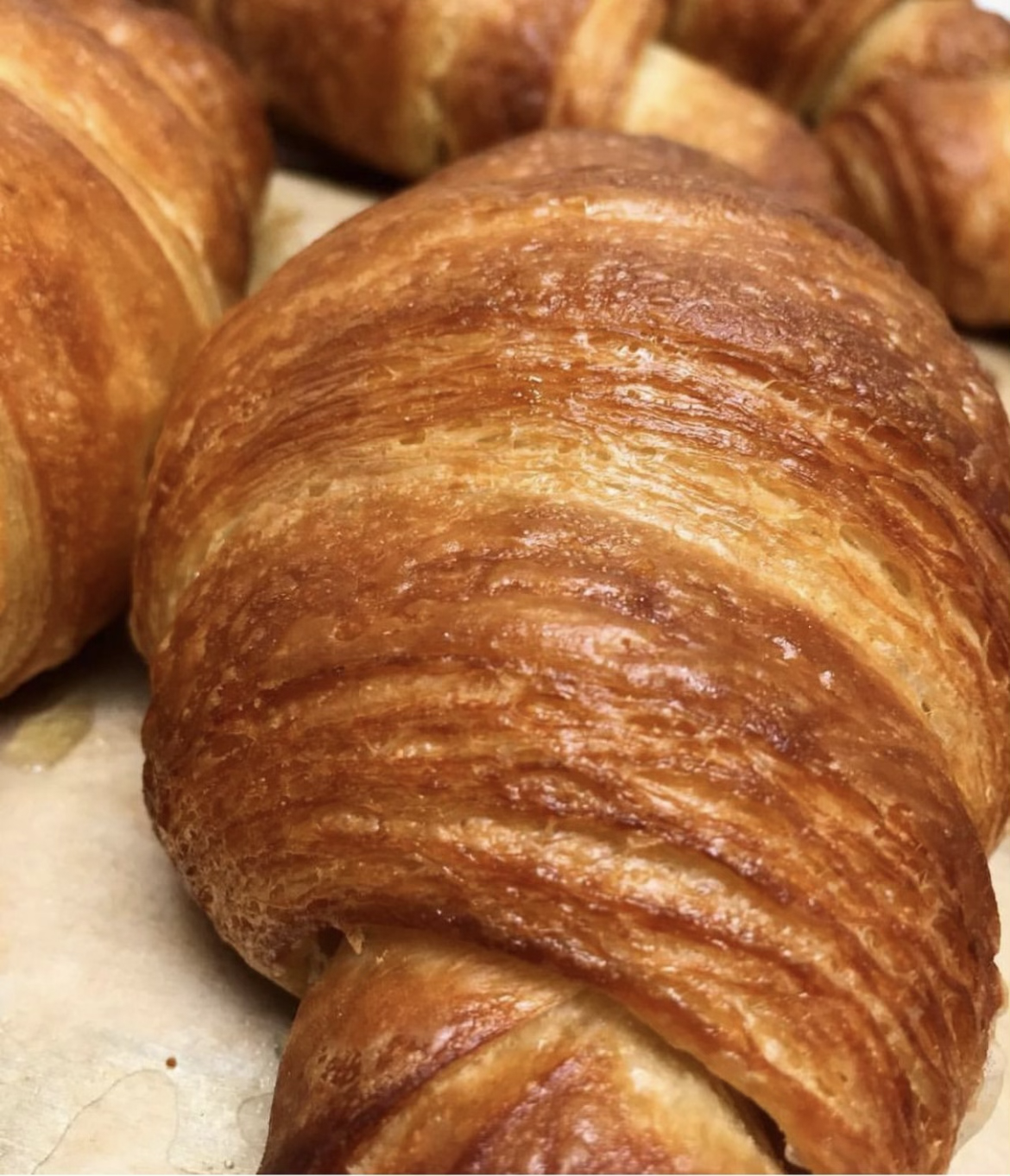 Madeleine's Cafe & Patisserie - Catering in Spokane, Washington