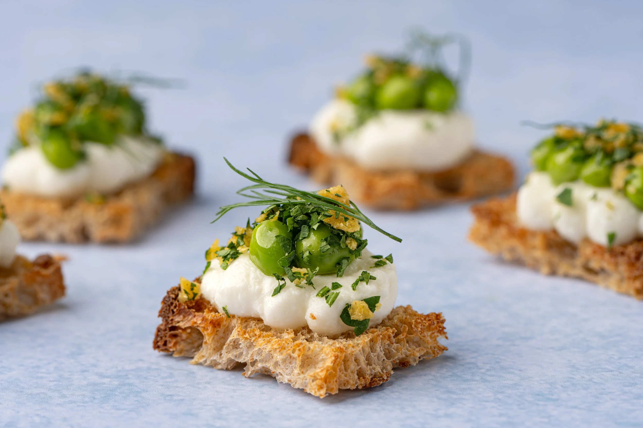 Mary Giuliani Catering and Events - Catering in New York, New York