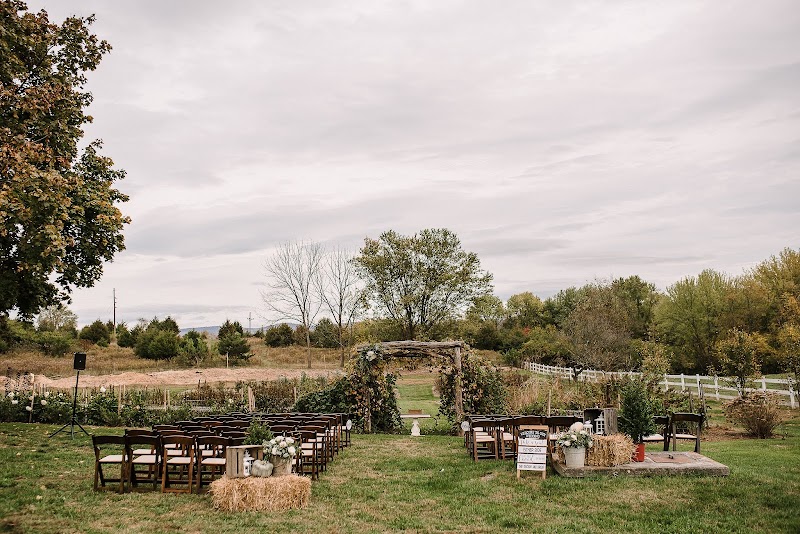 Green Hill Farm - photo 5