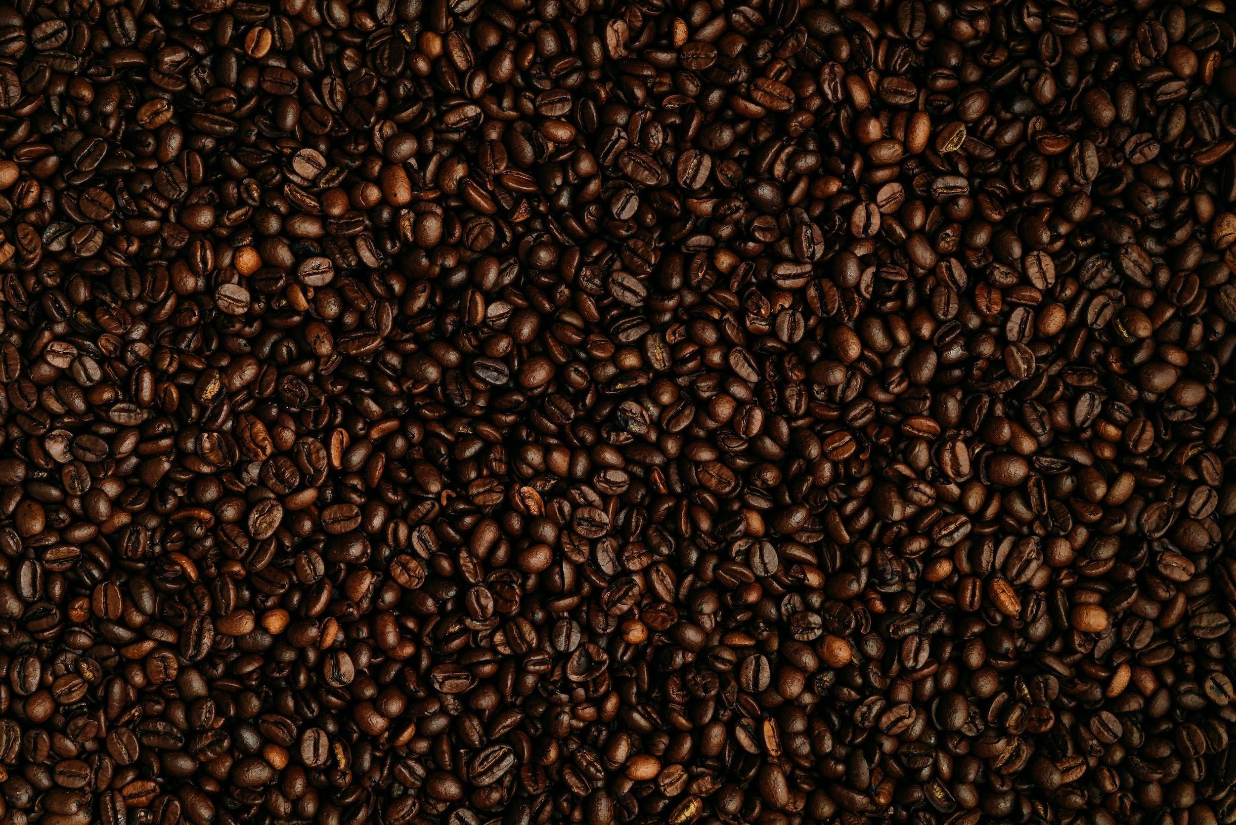 Turtle Rock Coffee & Cafe - photo 5