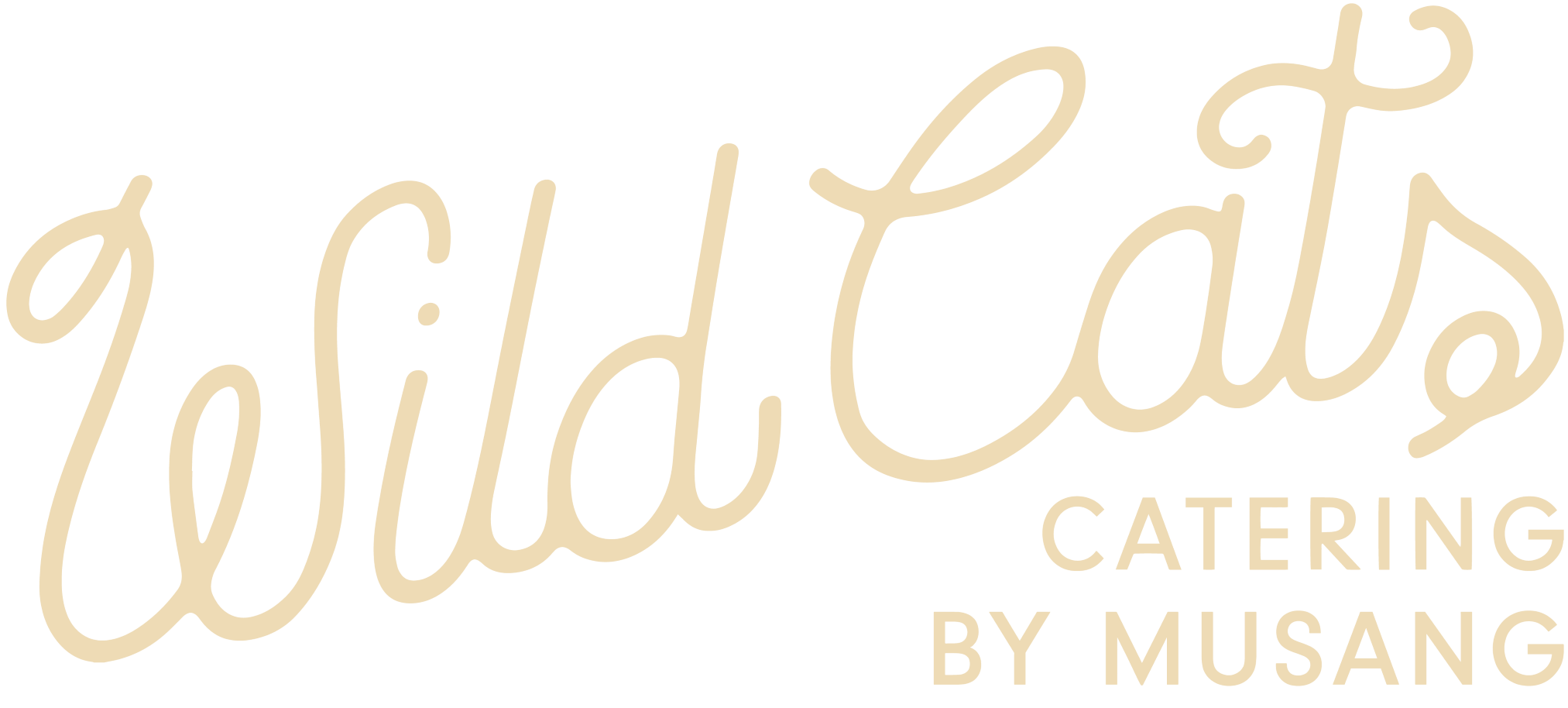 Wild Cats Catering - Catering in Seattle, Washington