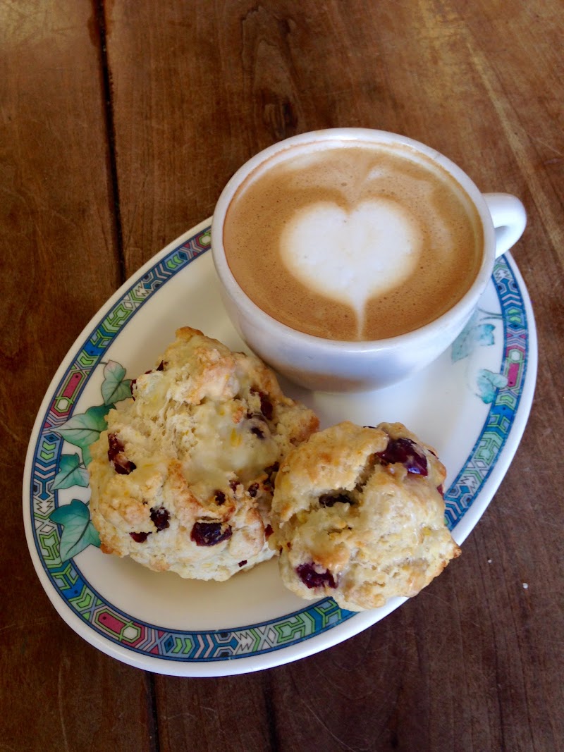 Curt’s Café - Catering in Evanston, Illinois