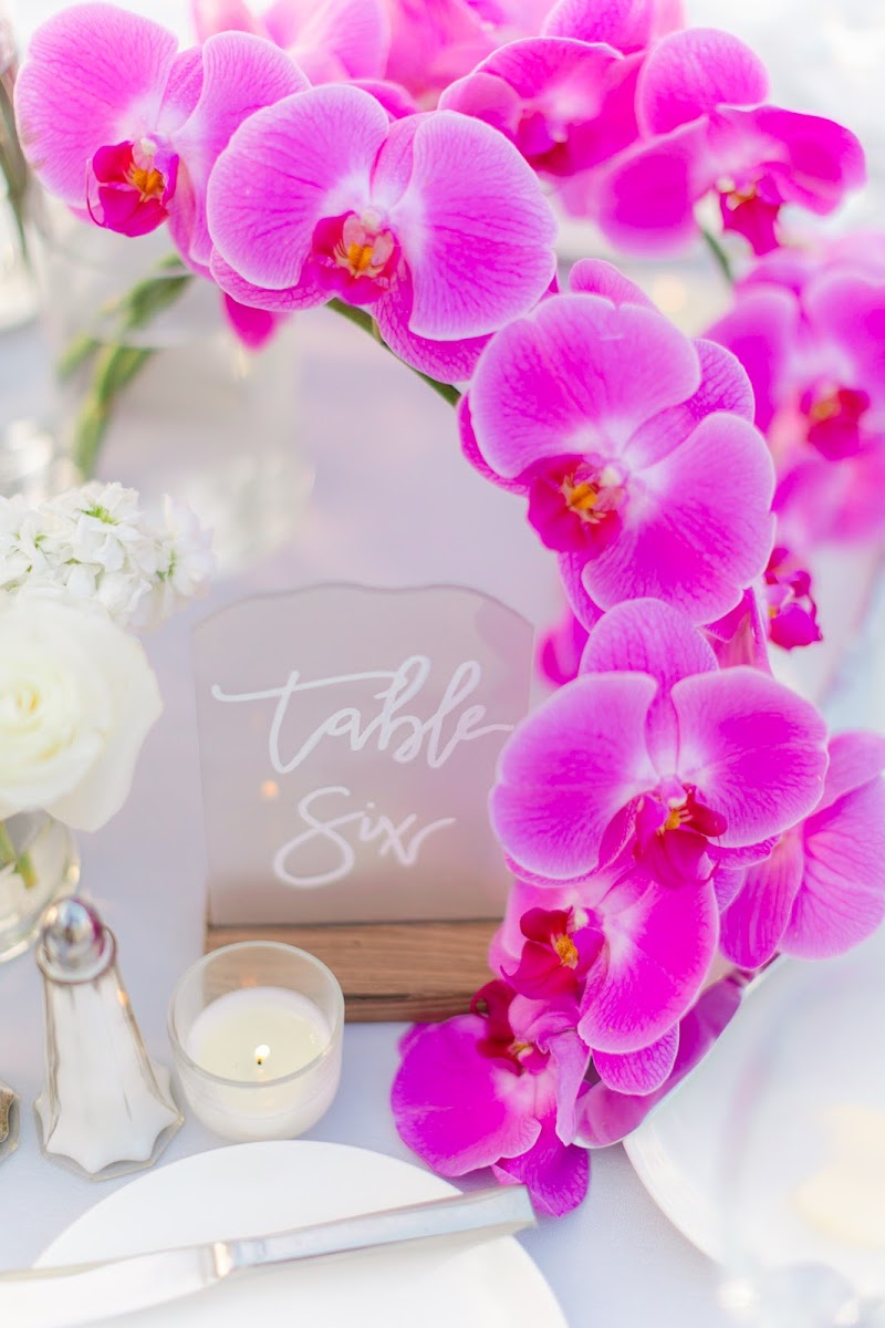 Bella Mia Exclusive Events - photo 2