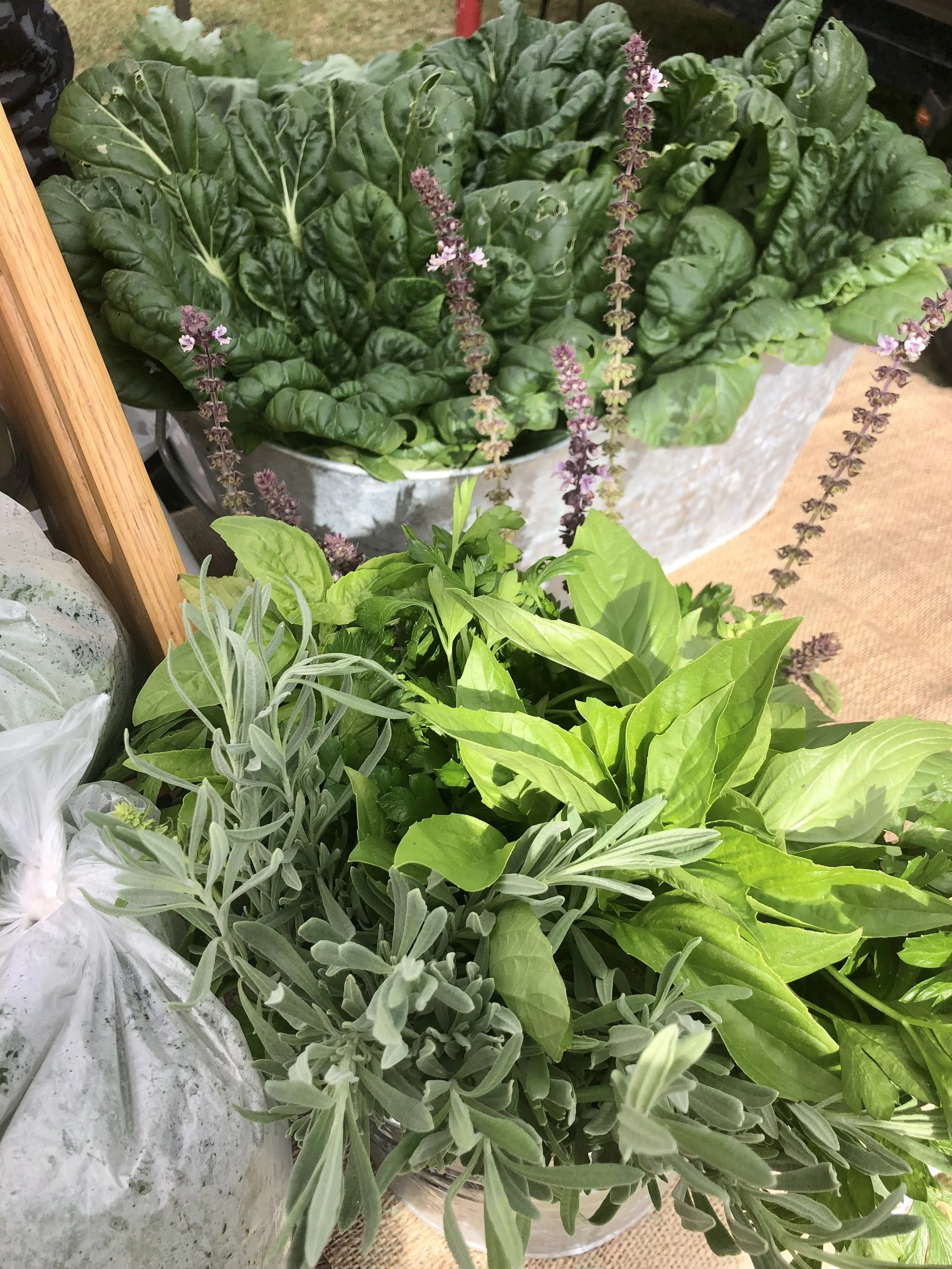 Mindful Meals - photo 4