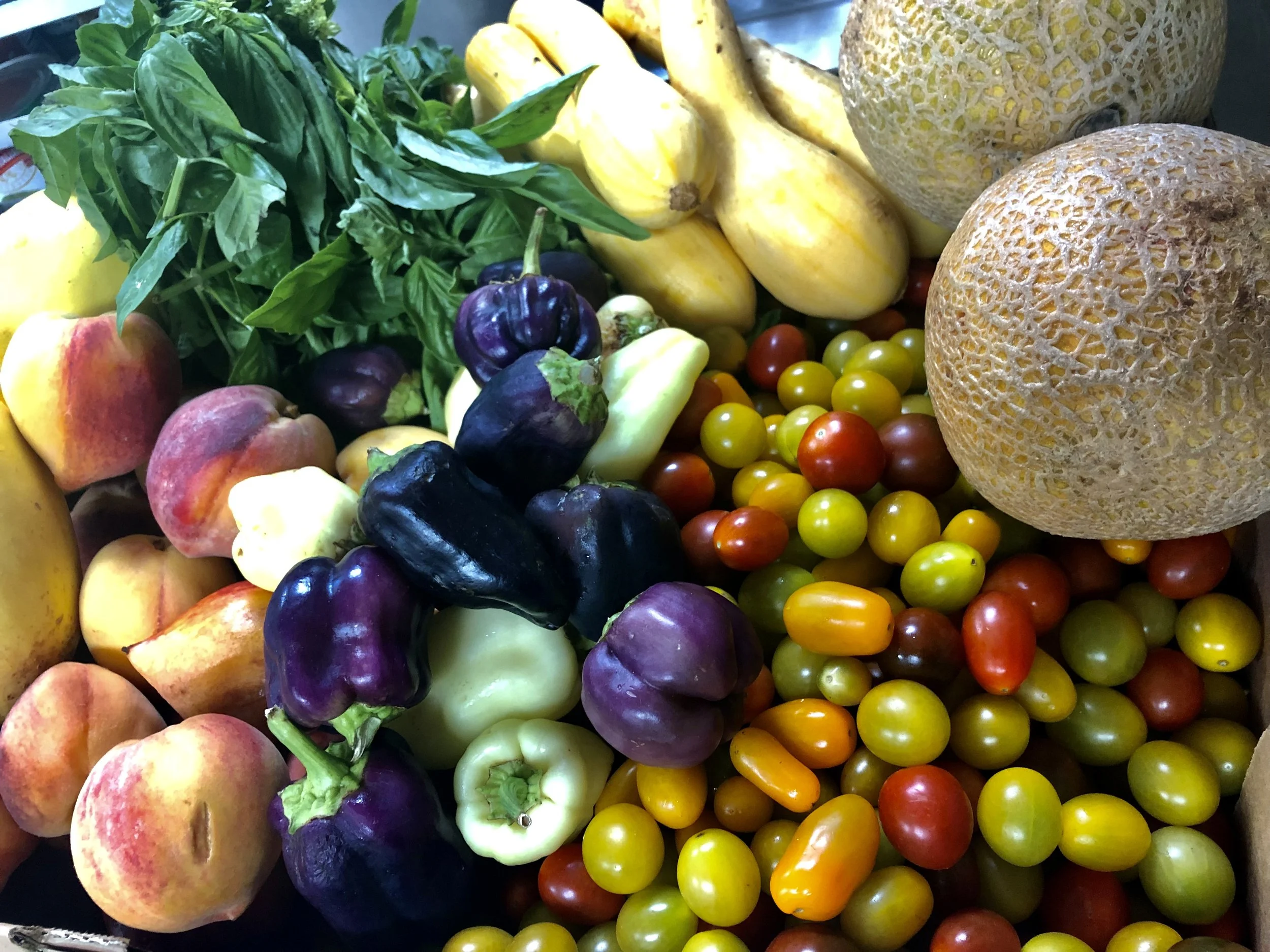Mindful Meals - photo 5