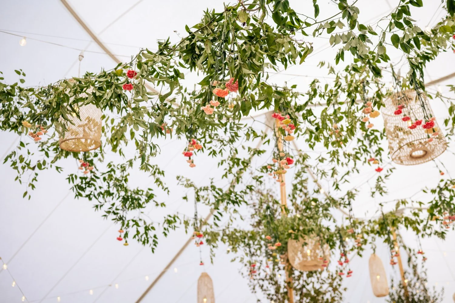 Tara Pollio Events - photo 5