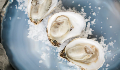 Lindsey Leichthammer Events - photo 2